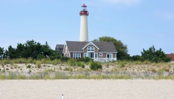 A sandy beach with a seagull, vegetation, a house, and a tall lighthouse in the background under a clear, blue sky.