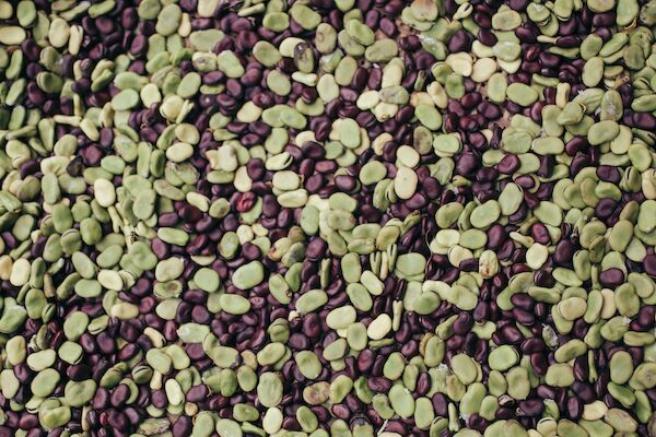 The image shows a mix of green and brown seeds or beans closely packed together, creating a textured pattern.