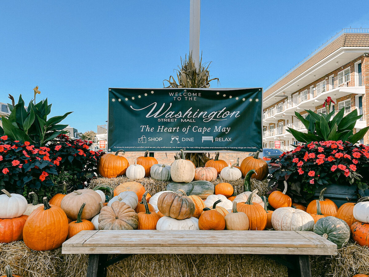 Display with pumpkins and flowers, featuring a 