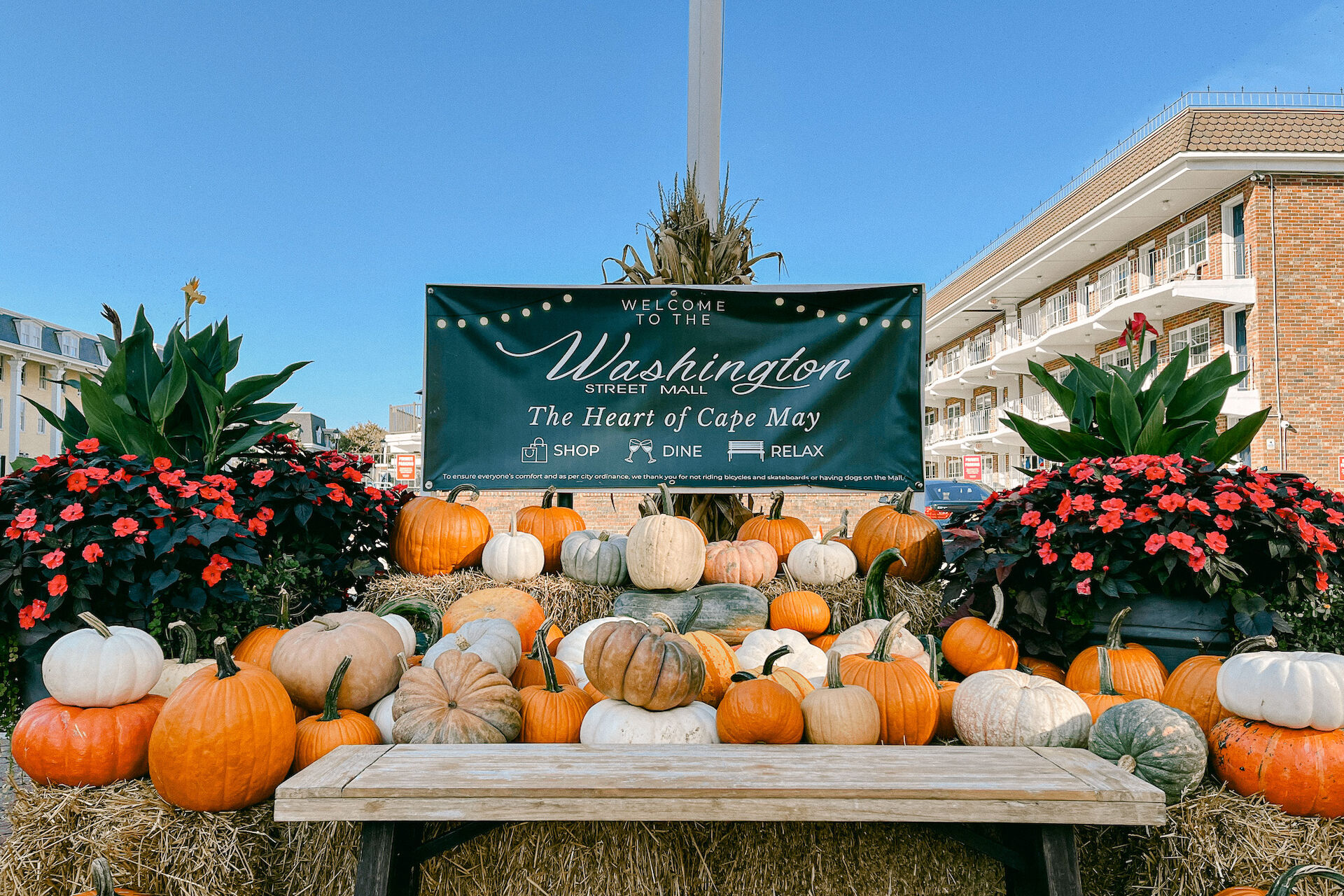 A decorative display with pumpkins, plants, and a "Welcome to Washington Street Mall" sign. The setting is festive and picturesque.