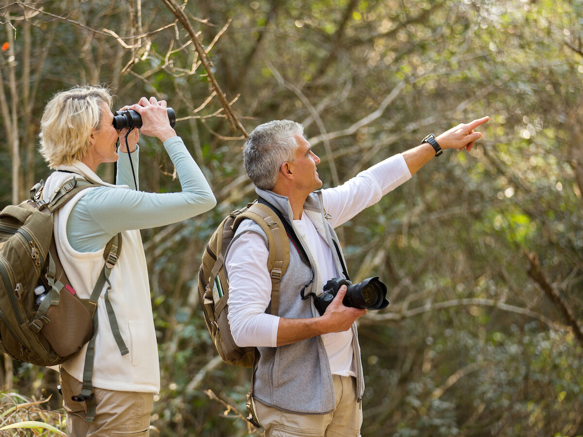 Two people are hiking in a forest. One is using binoculars, while the other points at something. Both are wearing backpacks.